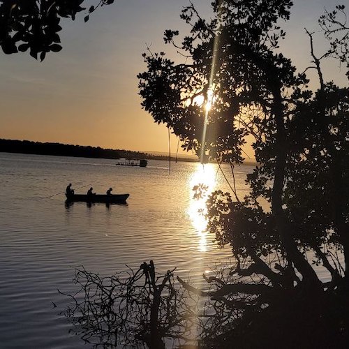 Mangrovie in canoa (mezza giornata)