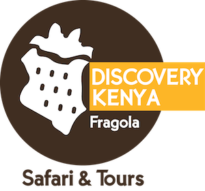 Discovery Kenya con Fragola