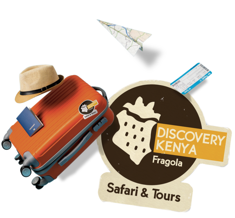 Discovery Kenya Escursioni e Tour