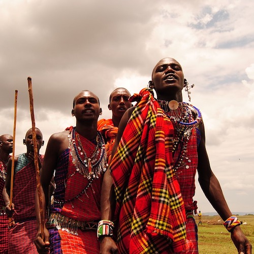 Safari KIBOKO (Masai Mara)