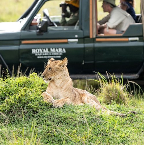 Safari NALA (Tsavo Est e Taita Hills)