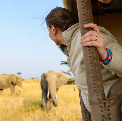 Safari SARABI (Masai Mara, Nakuru, Amboseli, Tsavo Est/Ovest)