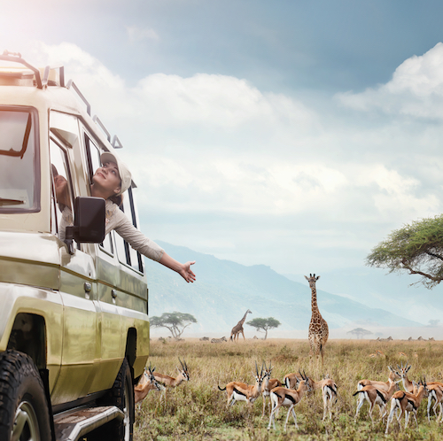 Safari EXPERIENCE (Tsavo East)